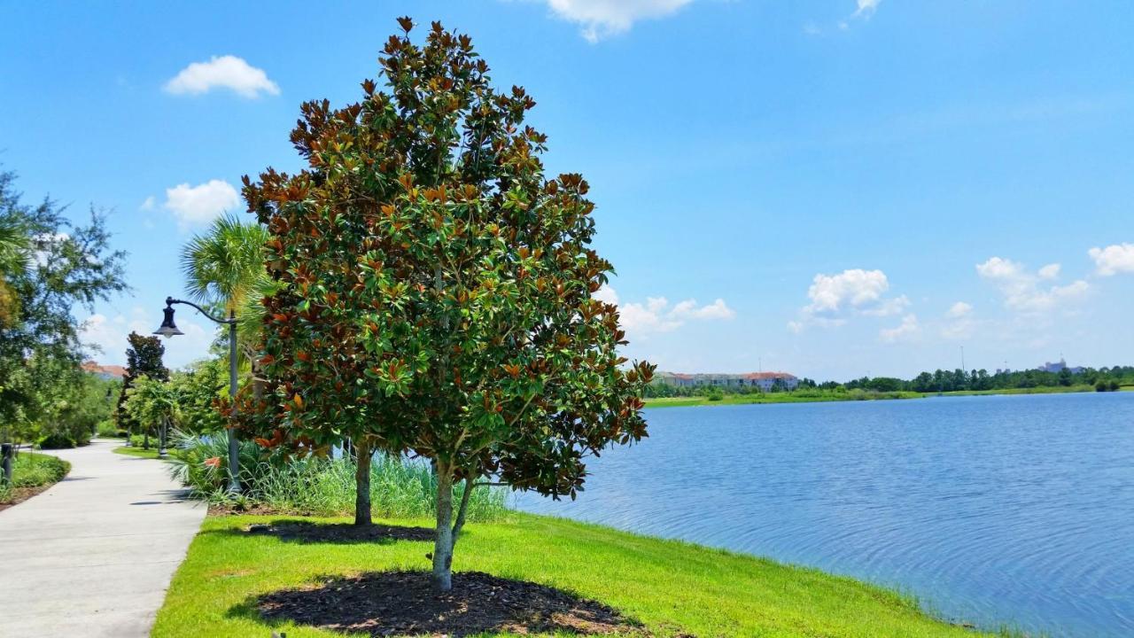 Lakeview Executive Penthouse Orlando Ngoại thất bức ảnh